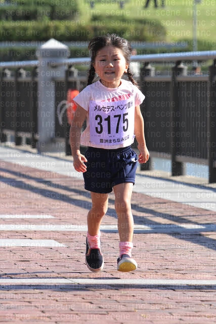 D_0811